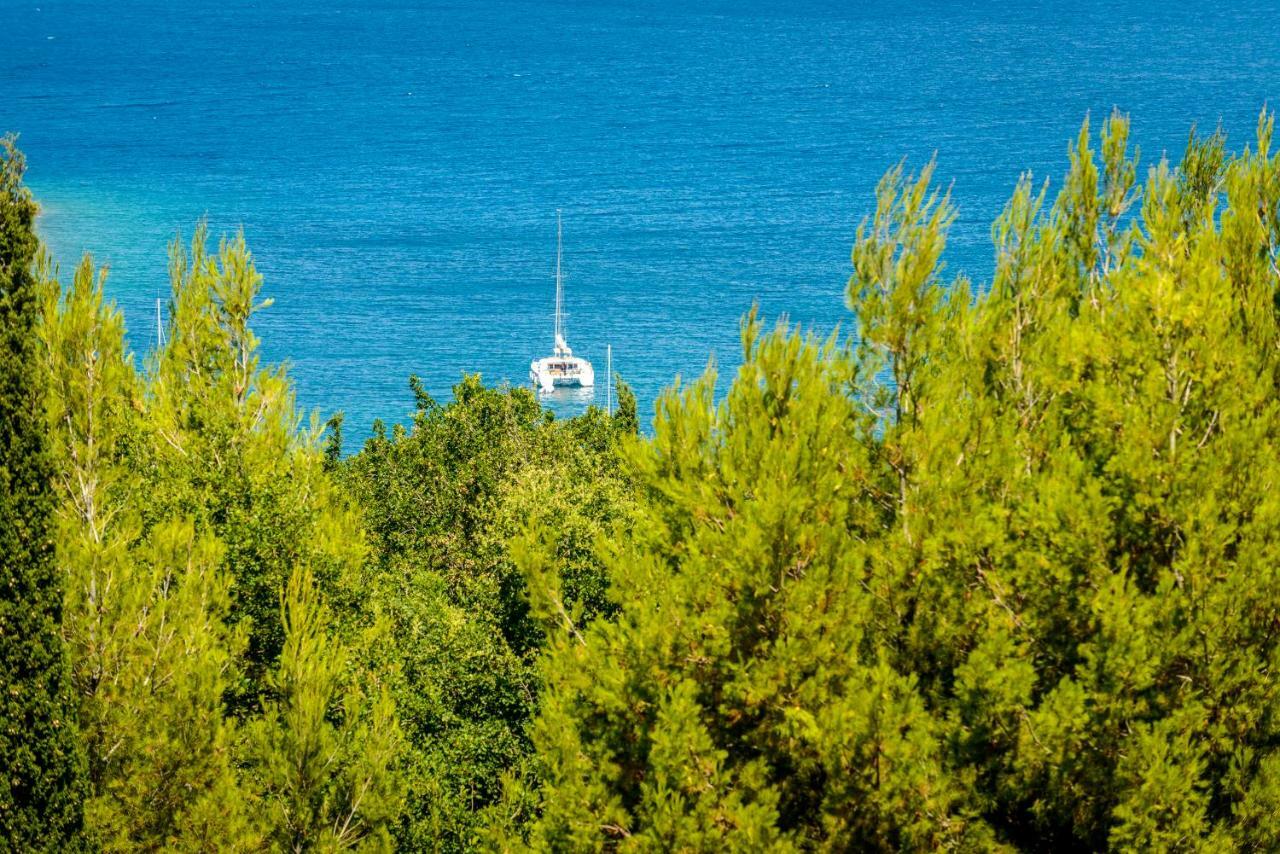 Villa Niki 2 Cavtat Eksteriør bilde